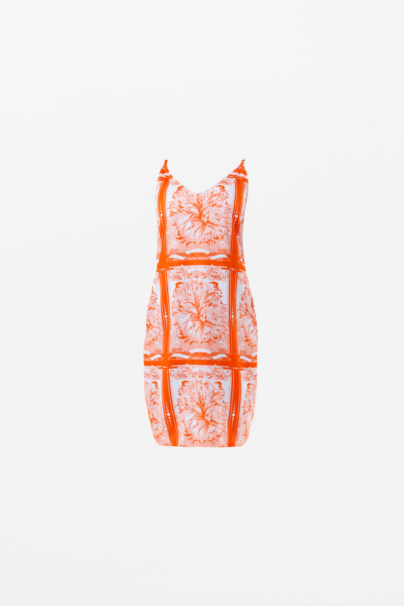 ALAJUELA DRESS
