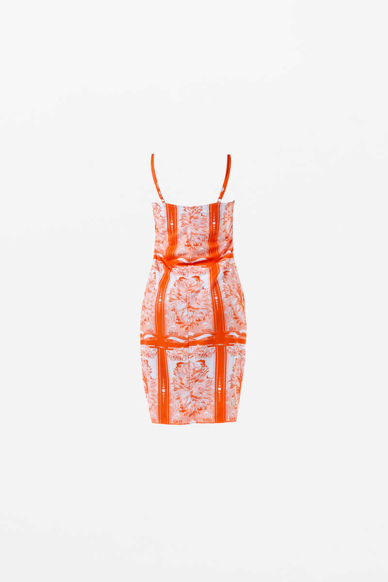 ALAJUELA DRESS